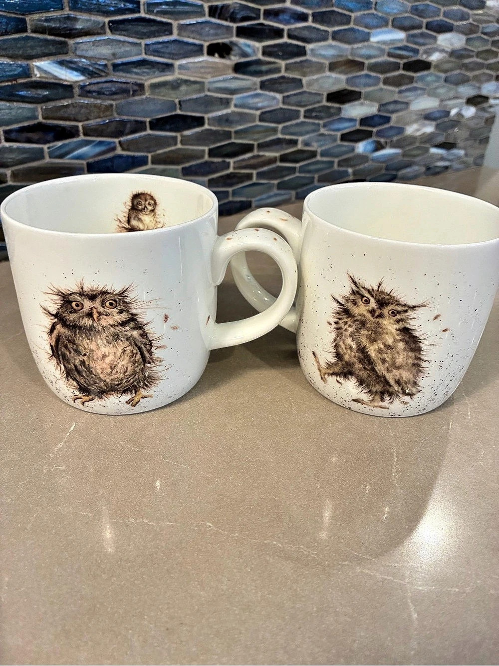 Royal Worcester Wrendale Designs What a Hoot Owl Mug Owl Mugs Set of 2 White &